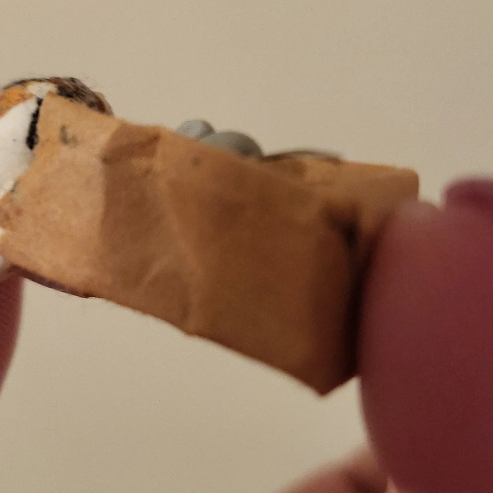 Micro kitty - Picture 4 of 8